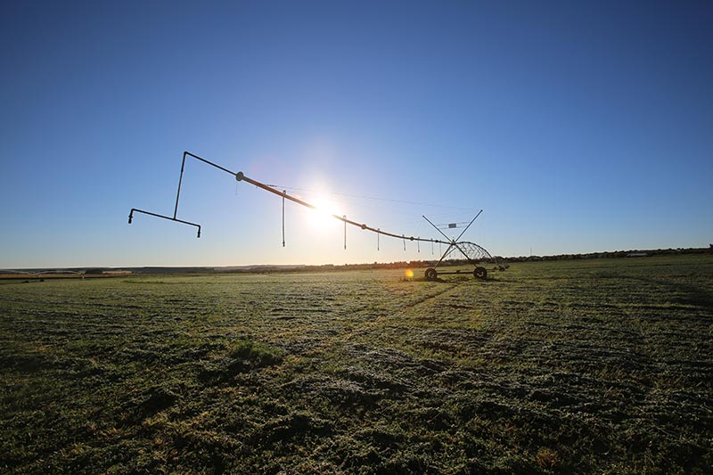 Agricultural Services