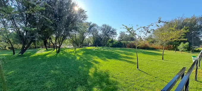 Lush green garden with river views