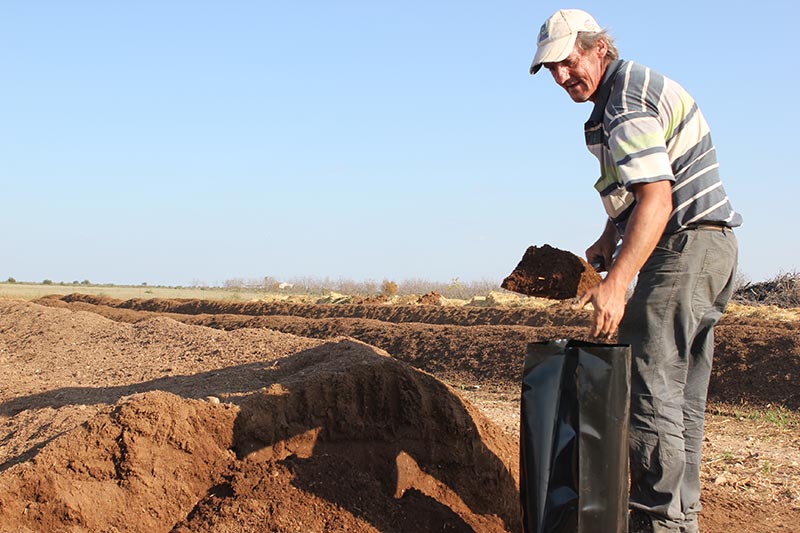 Agriculture