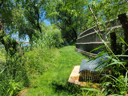 African Darter Hut