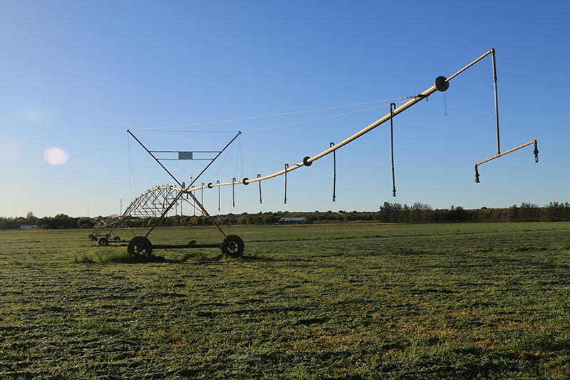 Commercial Agriculture in Orania