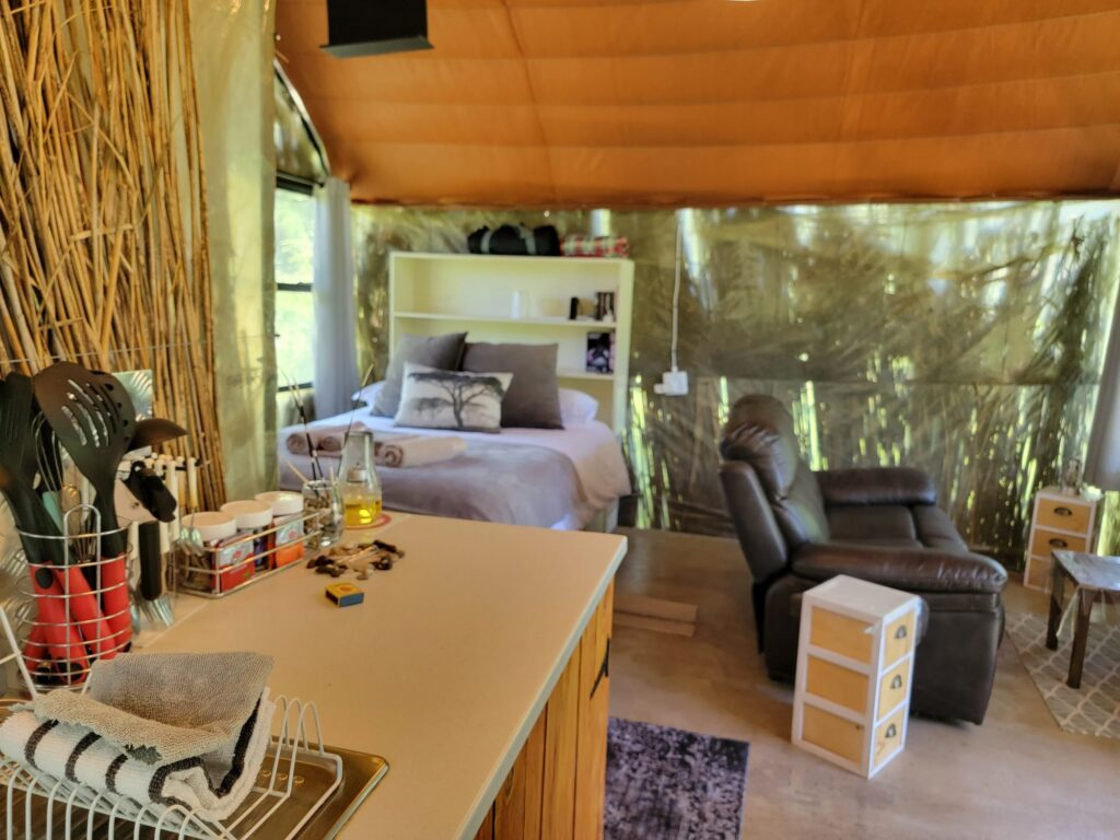 Open-plan interior of the river hut with kitchen counter, bed and lounge under a timber vaulted ceiling